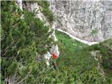 Forca di Dogna in Cima Robinia Forca di Dogna